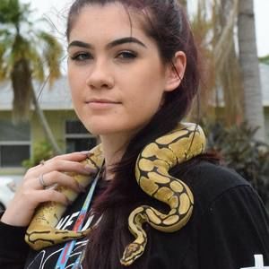 Meet your Posher, Alexis